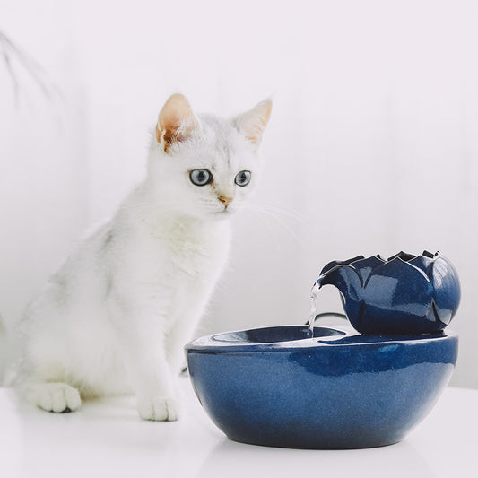 Flowing water fountain, living water cat, feeding water, drinking water artifact - My Store