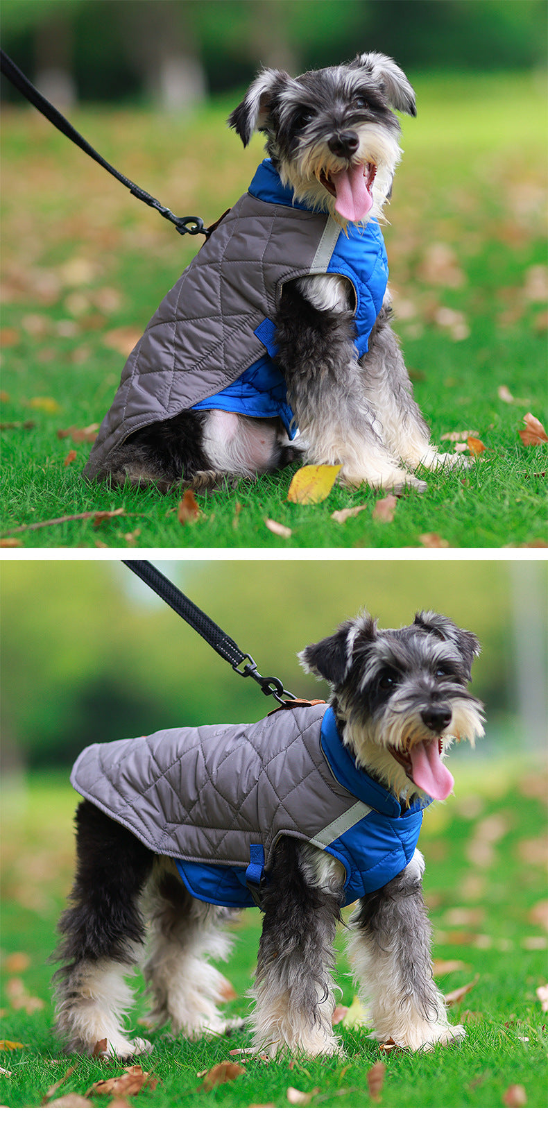 New Style Pet Clothes Reflective Warm Cotton Padded Coat - My Store