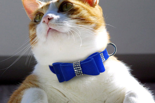 Shiny Hot Rhinestone Dog Cat Comfortable Korean Velvet Pet Leash - My Store