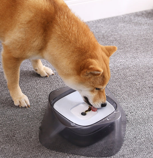 Pet Dog Bowl Floating Not Wetting Mouth Cat Bowl No Spill Drinking Water Feeder - My Store