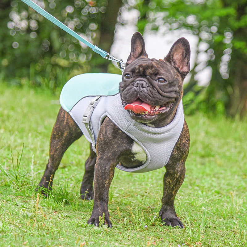 Summer Pet Outdoor Breathable Cooling Vest - My Store