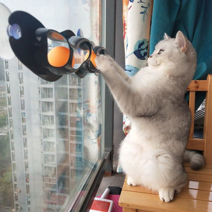 Windowsill Pets Toy Cat Track Ball Pet Products - My Store