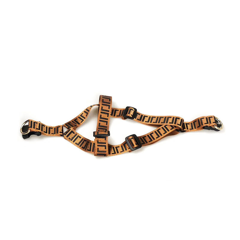 Pet Fashion Brand Dog Leash Collar - My Store