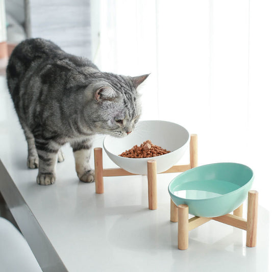 Ceramic Cat Bowl Dog Bowl Drinking Bowl - My Store