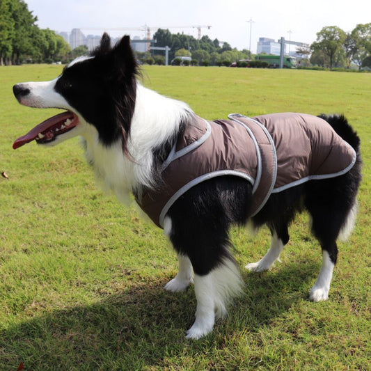 Lapel Pet Dog Clothes Autumn Cotton-padded Coat - My Store