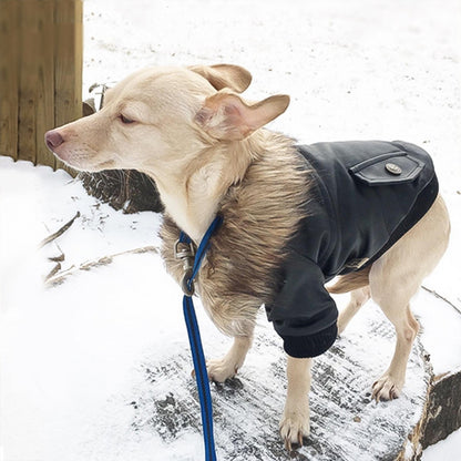 Autumn And Winter Clothes Dog Fur Collar Leather Coat - My Store