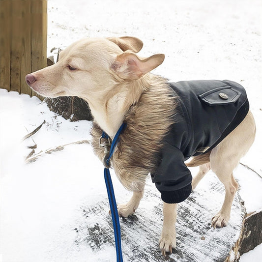 Autumn And Winter Clothes Dog Fur Collar Leather Coat - My Store