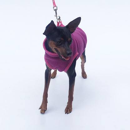 Pet Clothes Dog Clothing Polar Fleece - My Store