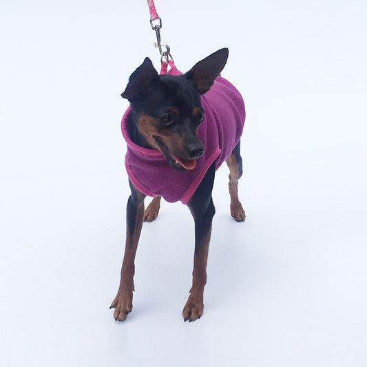 Pet Clothes Dog Clothing Polar Fleece - My Store