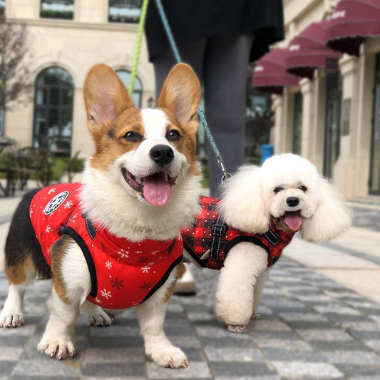 Christmas Dog Waterproof Reflective Belt Chest And Back Autumn And Winter Warm Pet Clothes - My Store