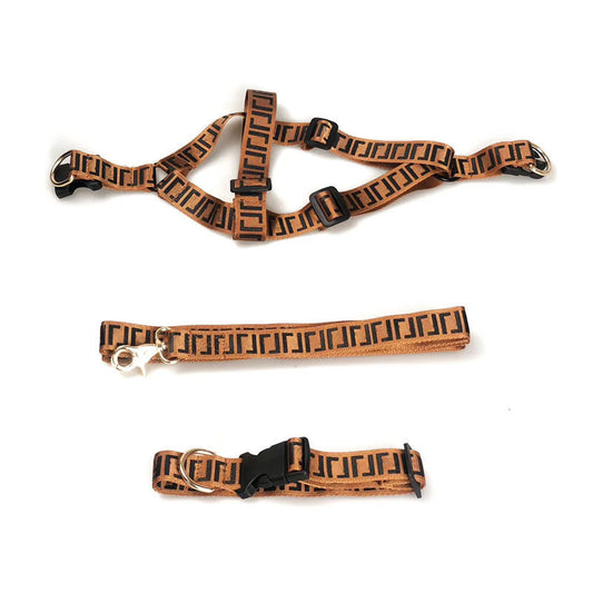 Pet Fashion Brand Dog Leash Collar - My Store