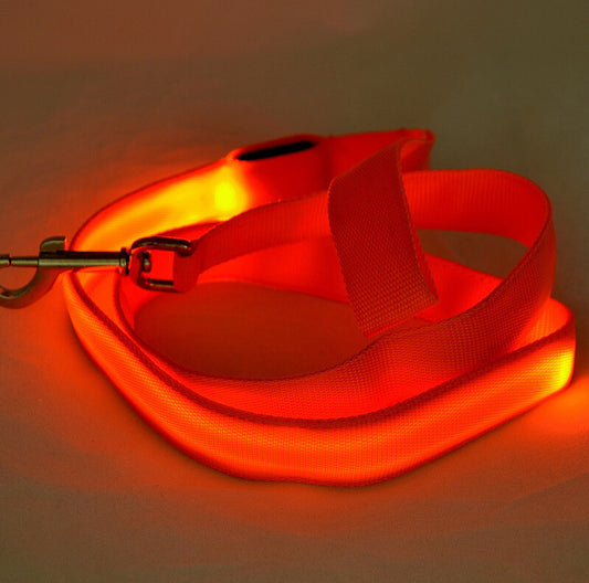Glowing Pet Leash Glowing Dog LED - My Store