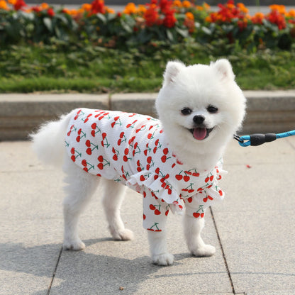 Pet Dog Print Bottoming Shirt Coat - My Store