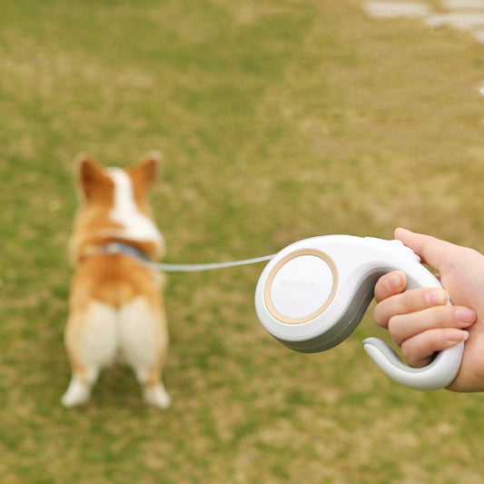 Pet Dog Supplies Automatic Retractable Leash - My Store