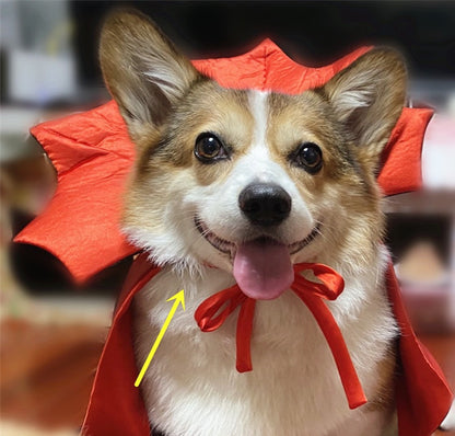 Halloween Pet Costumepet Halloween Cape Vampire King - My Store
