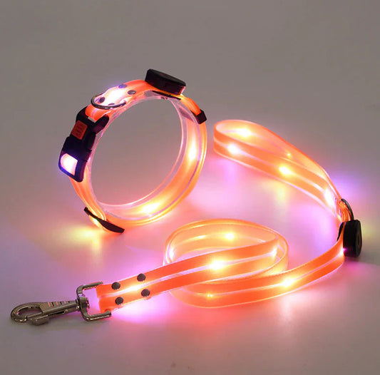 LED Luminous Collar Rechargeable Pet Collar Nylon Tow Rope - My Store