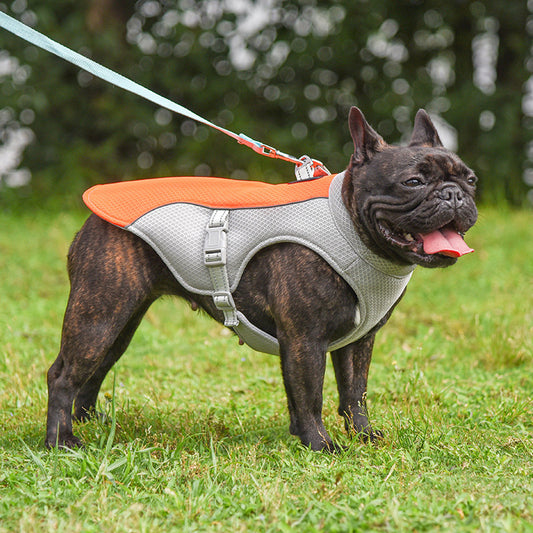 Summer Pet Outdoor Breathable Cooling Vest - My Store